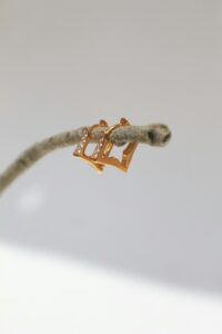 alondra-lucia-HoIjfSFr6I8-unsplash